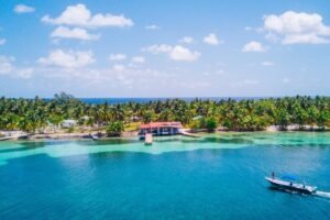 Palm Tree Lined Shores In Belize, Central America